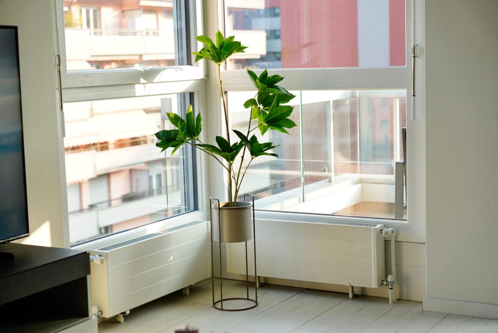 Lakeside Attic لوغانو المظهر الخارجي الصورة